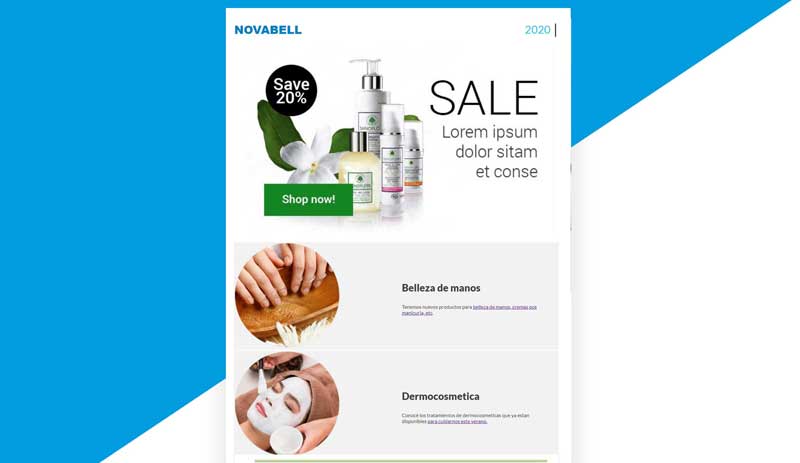 Imagen de como se ve el newsletter en el correo